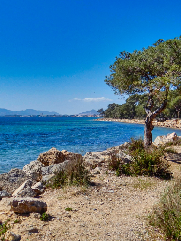 Carte de visite (Site Web) (14)